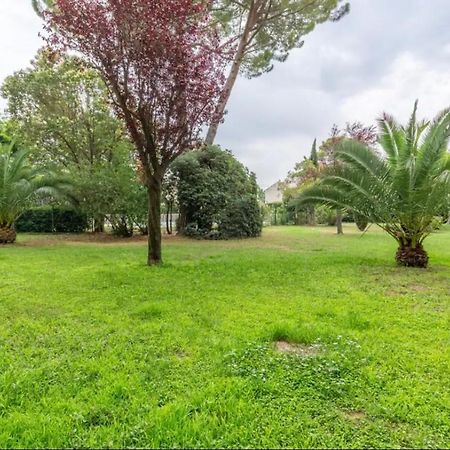 Cosy T3 - Jardin - Parking - Piscine Apartment Montpellier Bagian luar foto